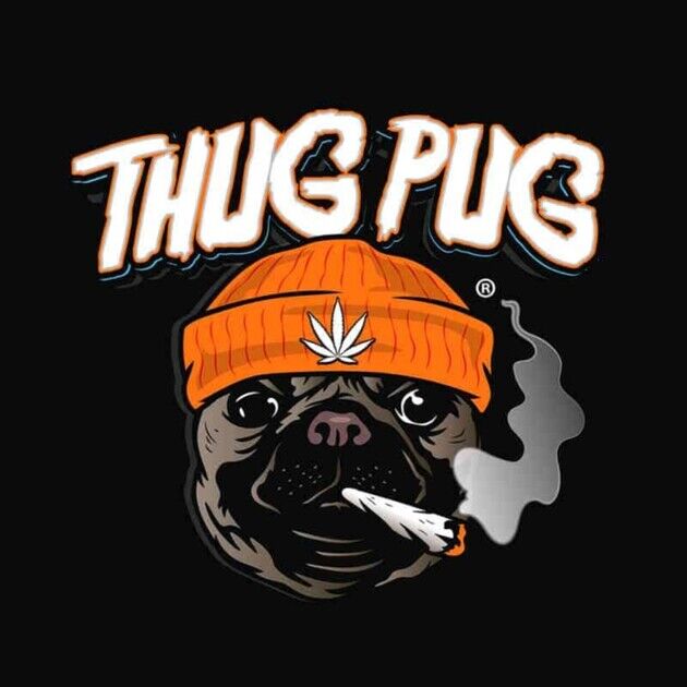 Dosi Don't Regular cannabis seeds by Thug Pug Genetics for indoor and outdoor
